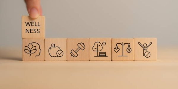 The Science Behind Absorption Speed and Efficiency