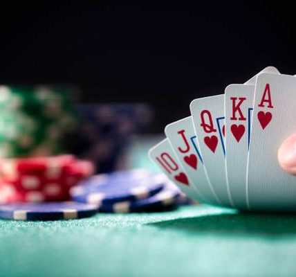 Compare 바카라사이트 추천 Through Casino Features and Game Variety