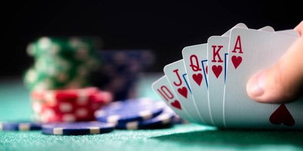 Compare 바카라사이트 추천 Through Casino Features and Game Variety
