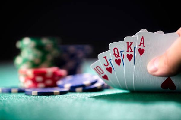 Compare 바카라사이트 추천 Through Casino Features and Game Variety